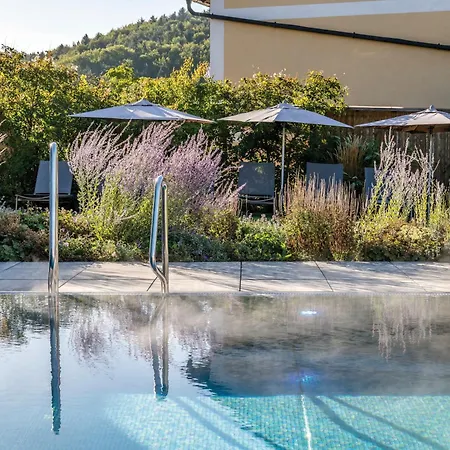 Hotel Weisses Ross Illschwang